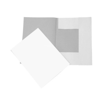 Cardboard file Standard