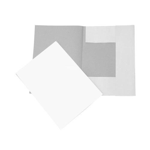 Cardboard file Standard